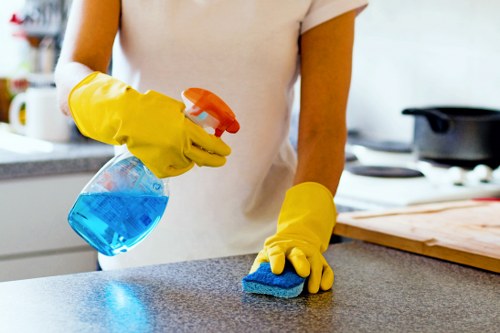 Professional carpet cleaners in Osterley beginning a deep cleaning process