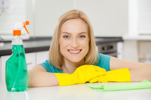 Specialist upholstery cleaning equipment in Osterley property