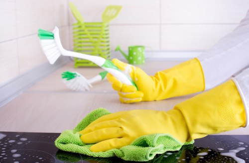 Professional cleaner working carefully in a safe environment