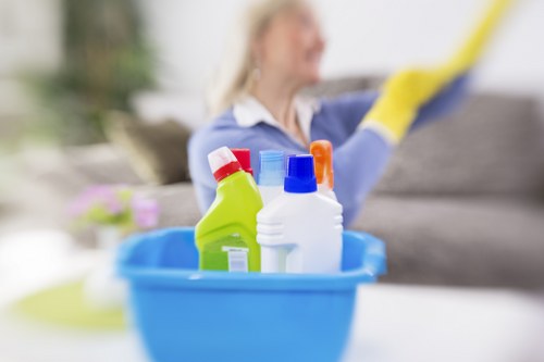 Accessibility support section for Osterley Carpet Cleaners website