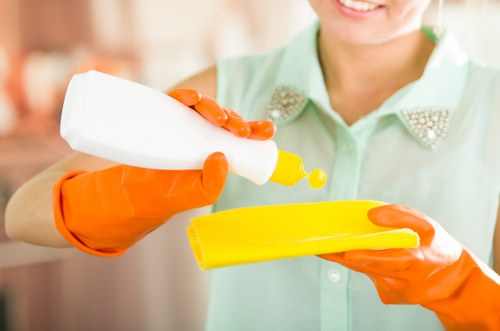 Pet-friendly sofa cleaning in Osterley home