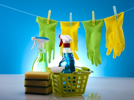 Quality check during a carpet cleaning complaint investigation